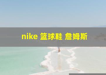 nike 篮球鞋 詹姆斯